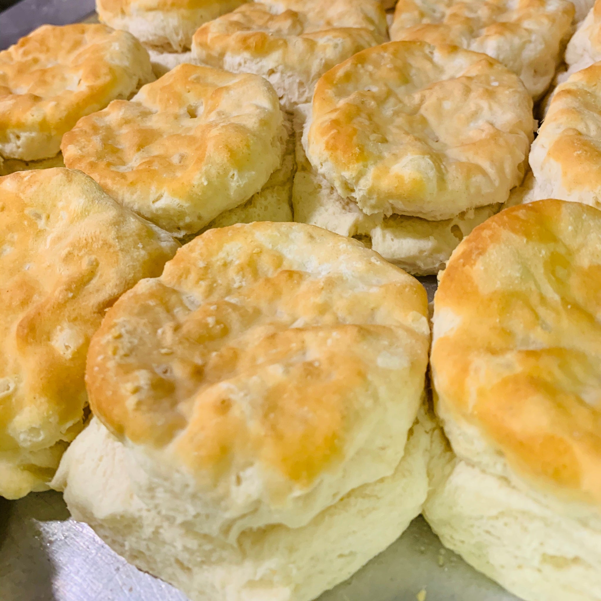 Breakfast Biscuits