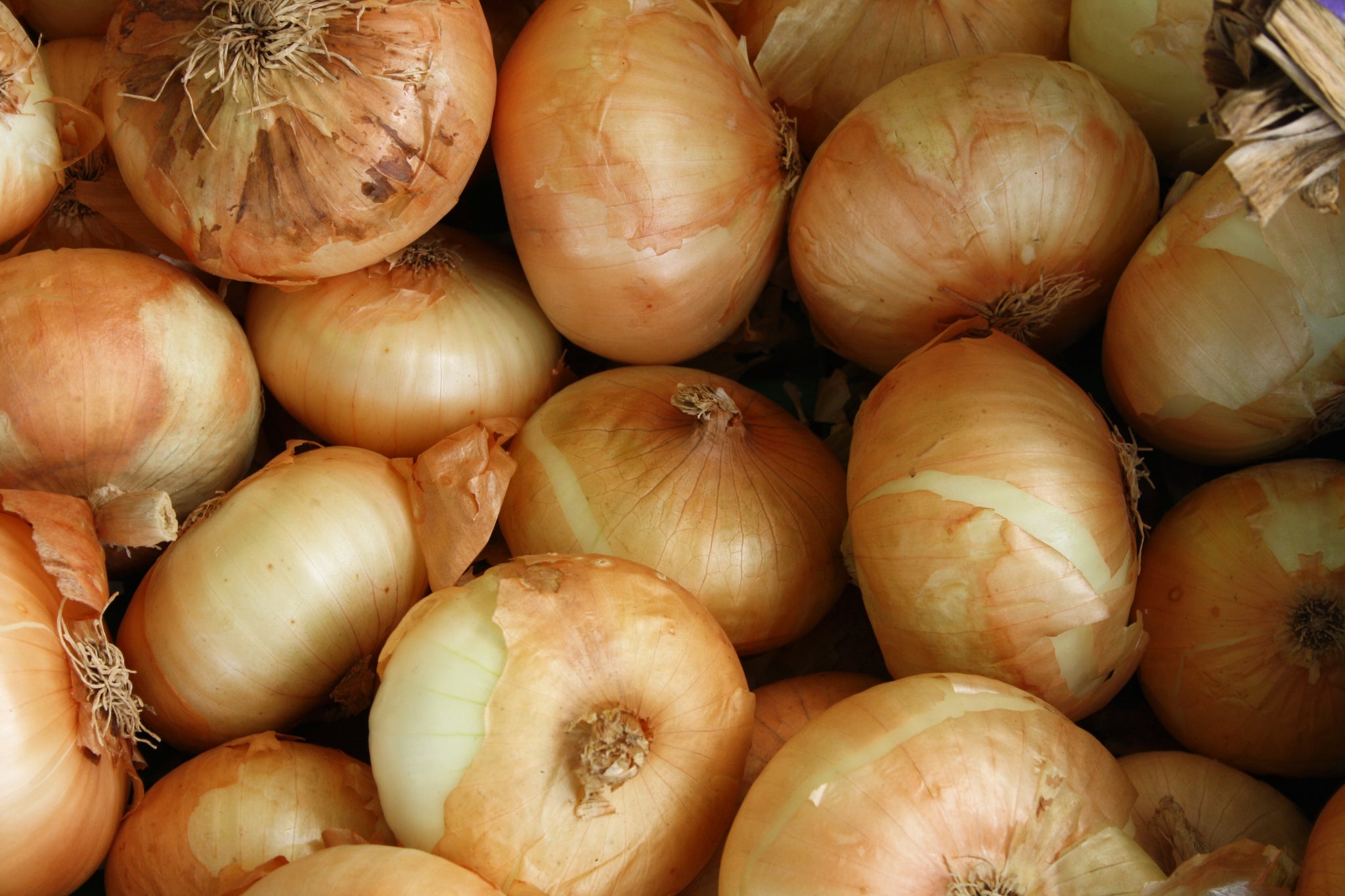 Jumbo Yellow Onions - per pound