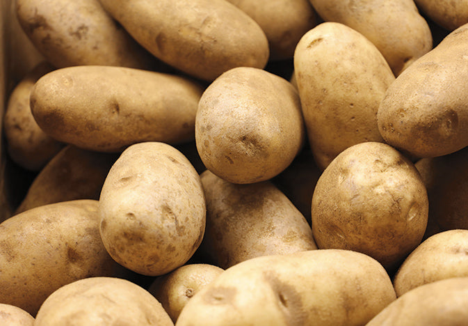 Russet Potatoes - per potato