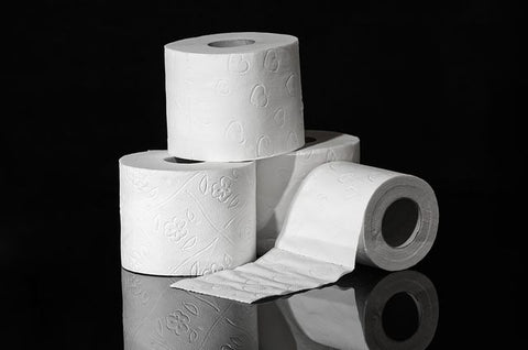 Toilet Paper Roll 2-Ply - per roll (limit 8 rolls per order)